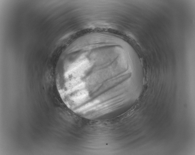 X0000063531063200602102011