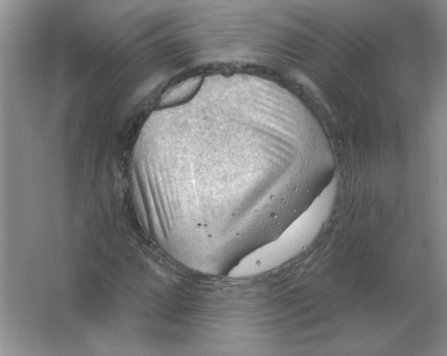 X0000063531064200602102011