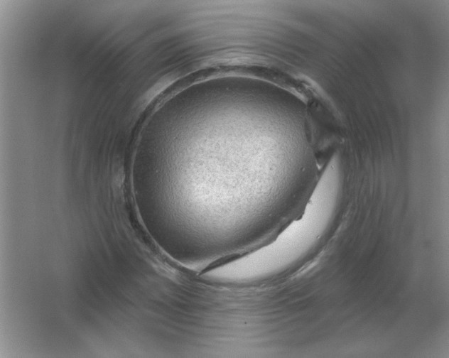 X0000063531065200602102011