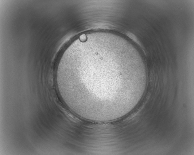 X0000063531067200602102011