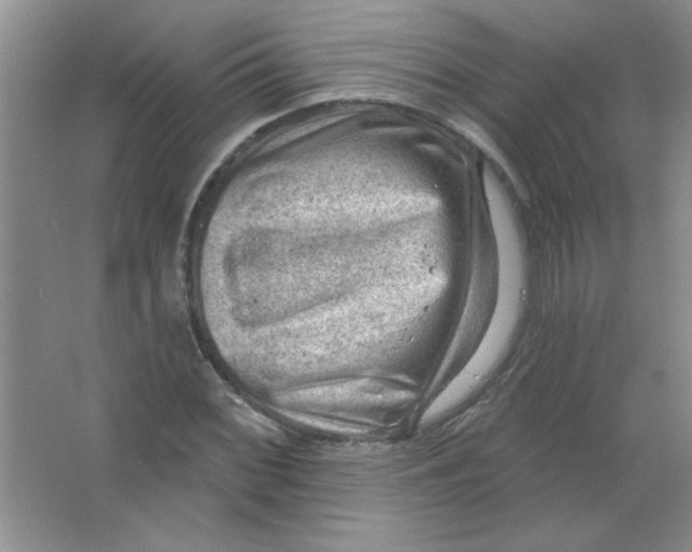 X0000063531068200602102011