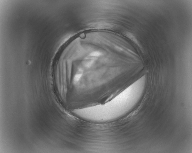 X0000063531071200602102011