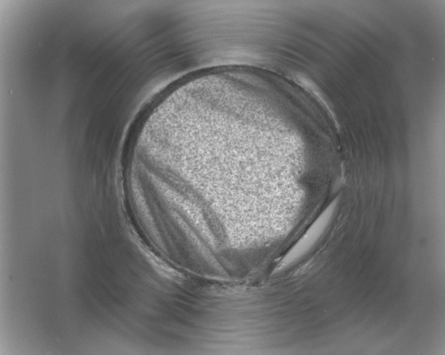 X0000063531072200602102011