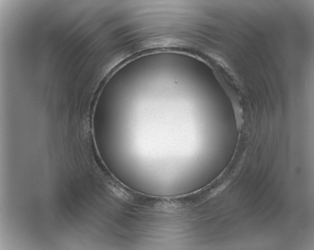 X0000063531073200602102011