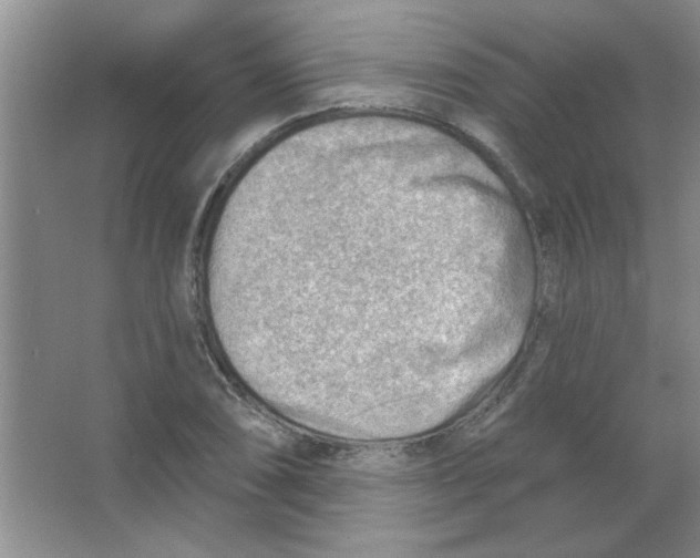 X0000063531074200602102011