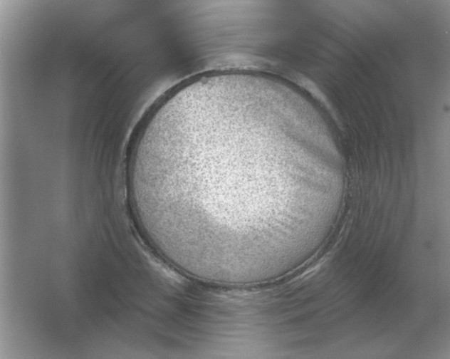 X0000063531075200602102011