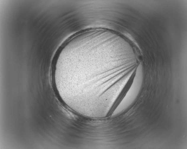 X0000063531076200602102011