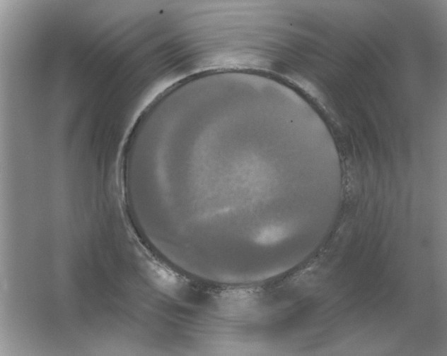 X0000063531078200602102011