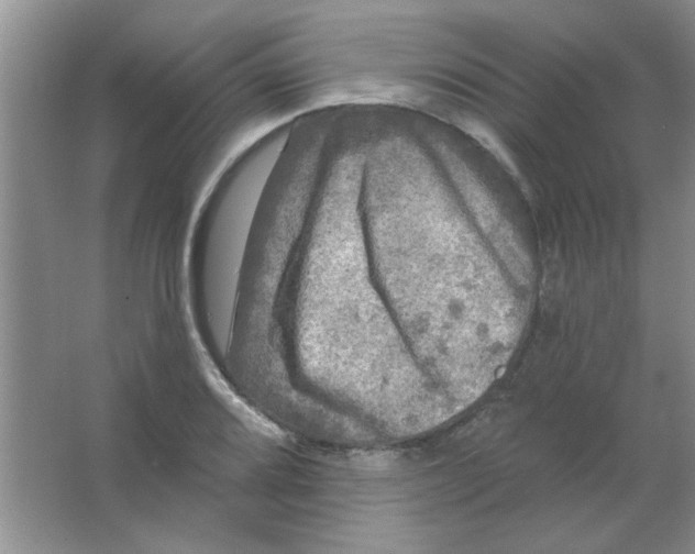 X0000063531080200602102011