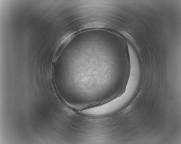 X0000063531081200602102011