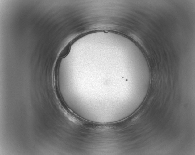 X0000063531082200602102011