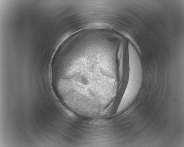 X0000063531083200602102011