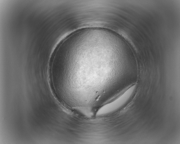 X0000063531085200602102011