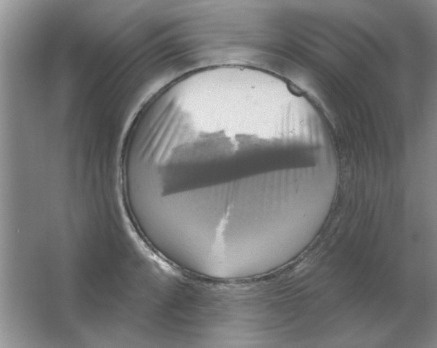 X0000063531088200602102011