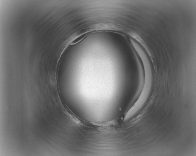 X0000063531089200602102011