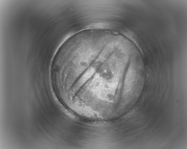 X0000063531091200602102011