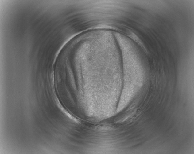 X0000063531092200602102011