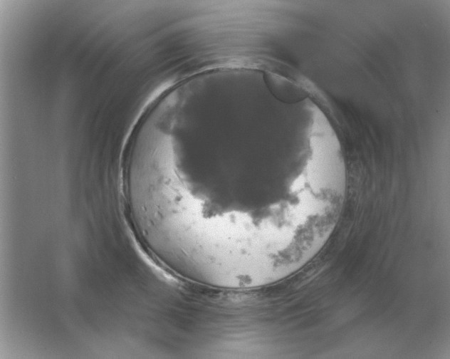 X0000063531095200602102011