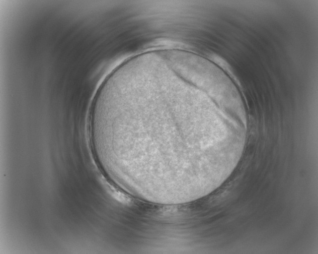 X0000063531098200602102011