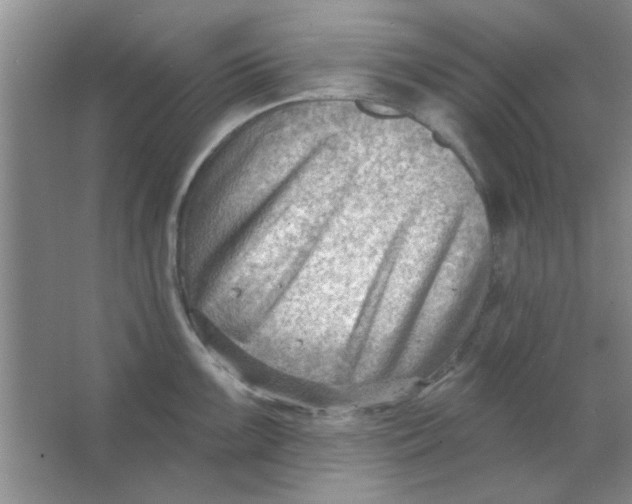 X0000063531099200602102011