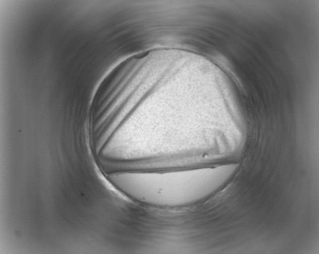 X0000063531100200602102011