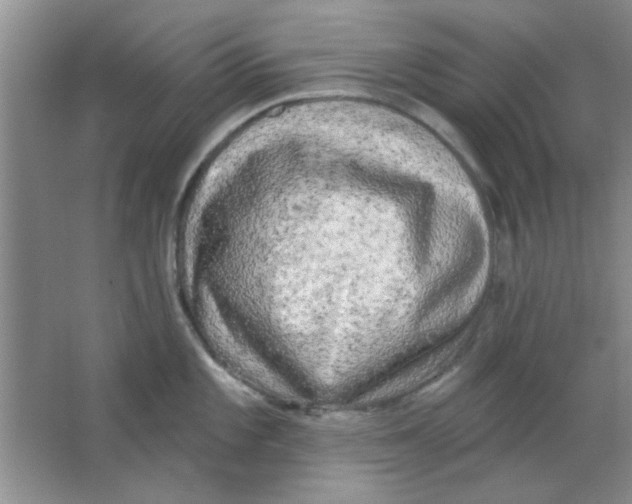 X0000063531101200602102011