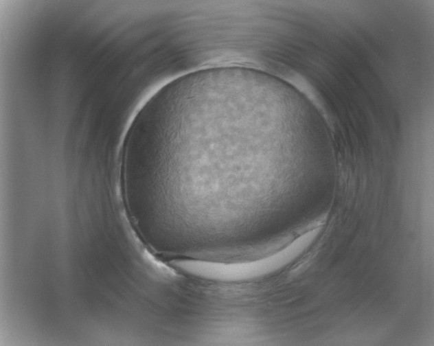 X0000063531102200602102011