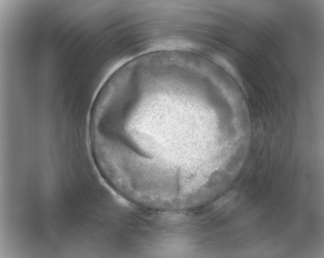 X0000063531103200602102011