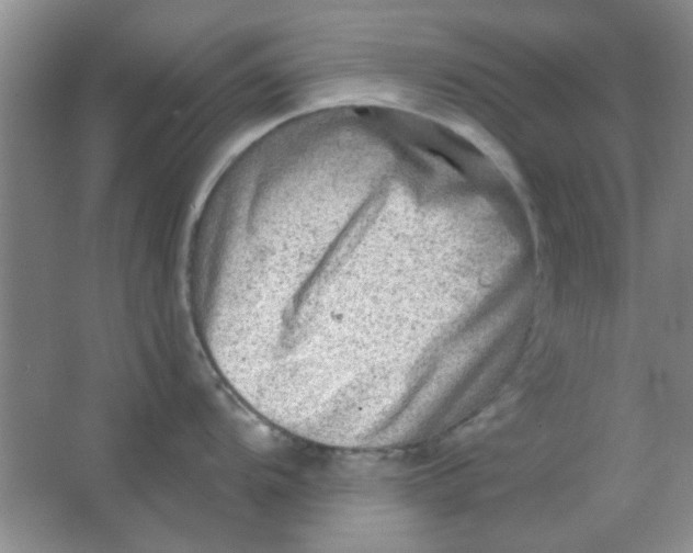 X0000063531104200602102011