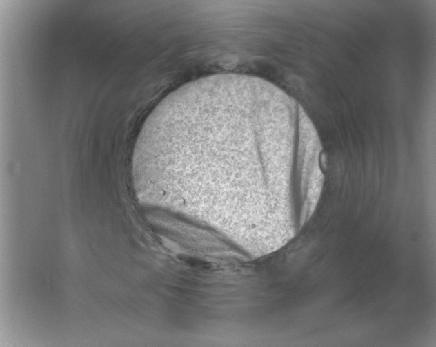 X0000063531105200602102010