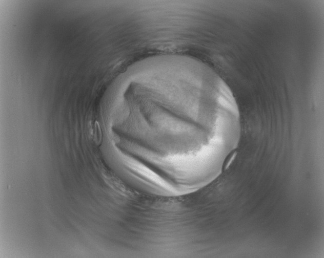 X0000063531106200602102010