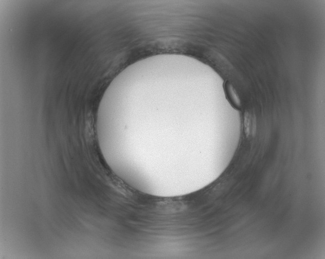 X0000063531107200602102010