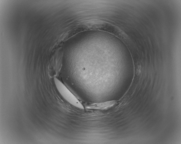 X0000063531108200602102010