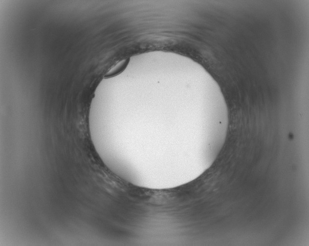 X0000063531109200602102010