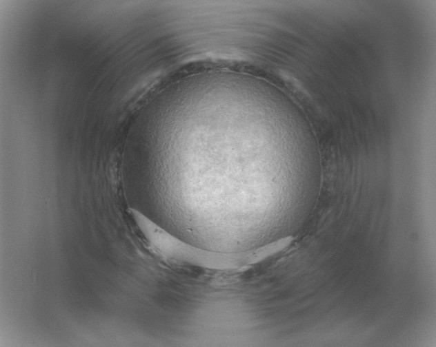 X0000063531110200602102010