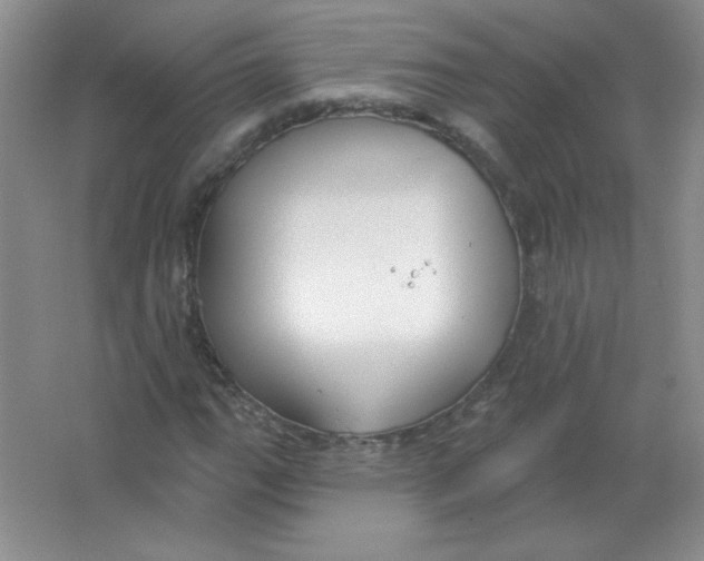 X0000063531111200602102010