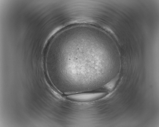 X0000063531114200602102010