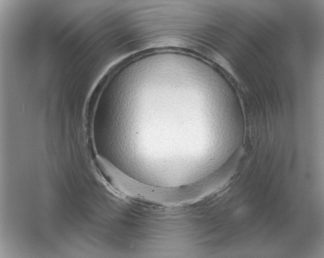 X0000063531116200602102010