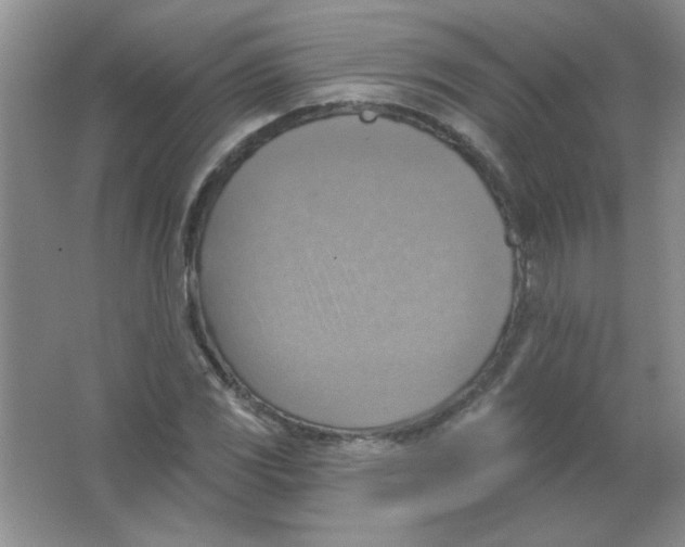 X0000063531117200602102010