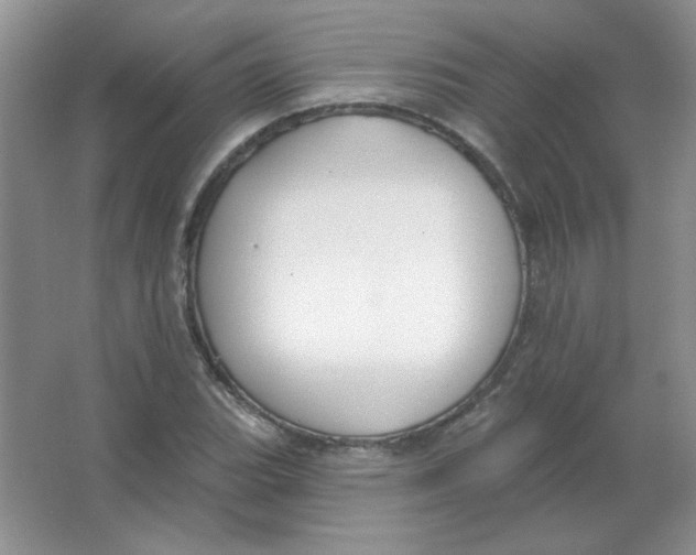 X0000063531119200602102010