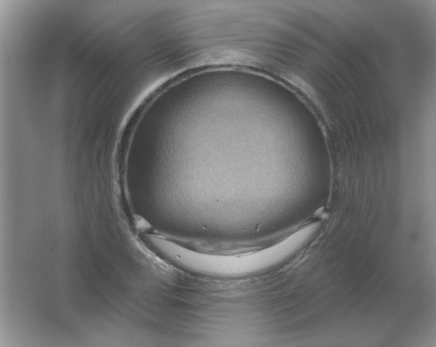 X0000063531120200602102010