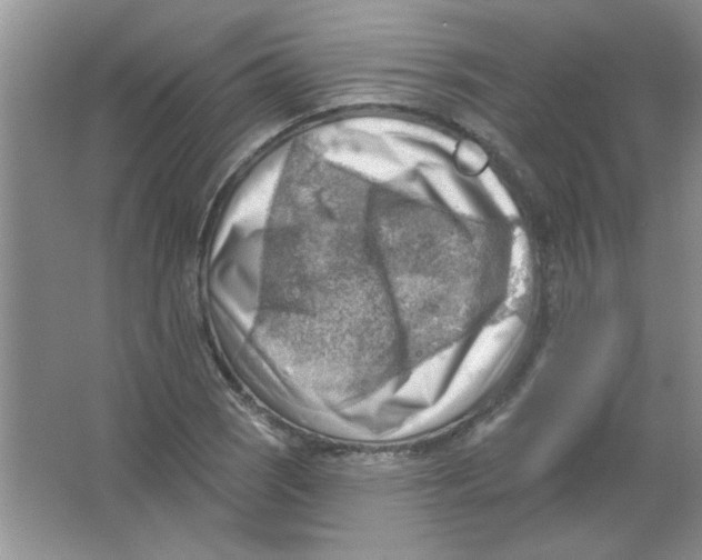 X0000063531121200602102010