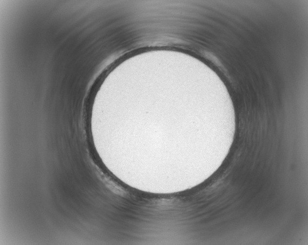 X0000063531122200602102010