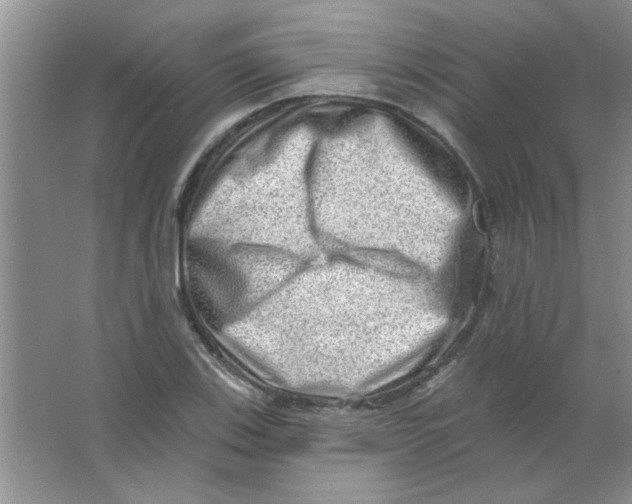 X0000063531123200602102010