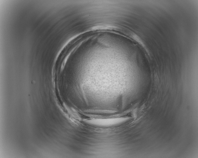 X0000063531124200602102010