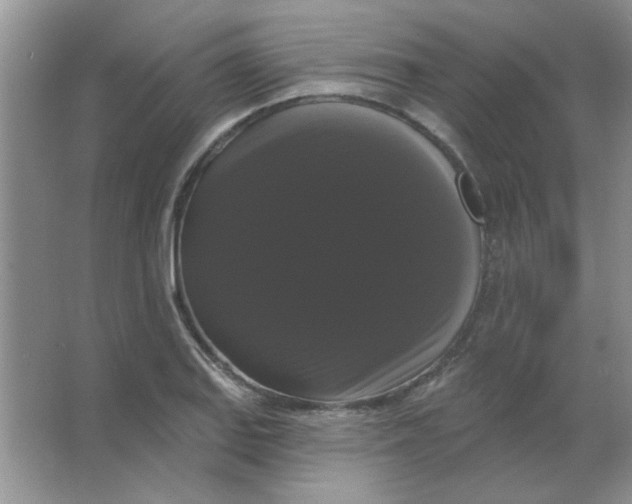 X0000063531127200602102010