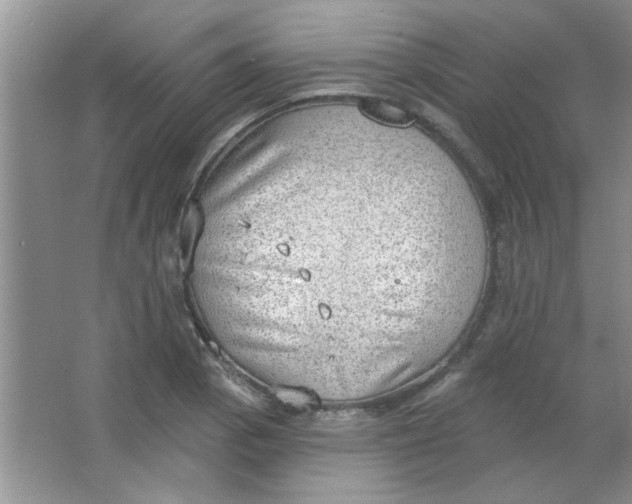 X0000063531129200602102010