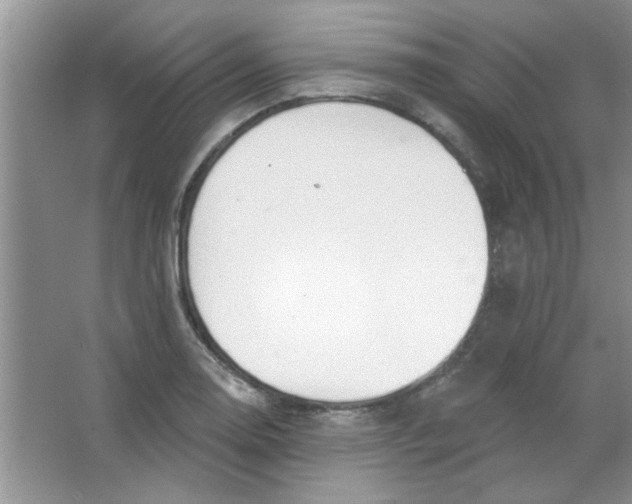 X0000063531130200602102010