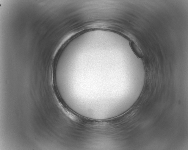 X0000063531131200602102010