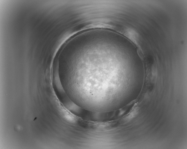 X0000063531132200602102010